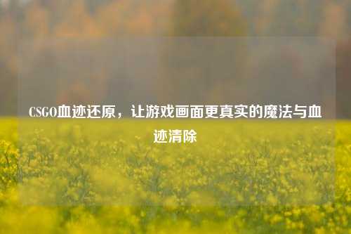 CSGO血迹还原，让游戏画面更真实的魔法与血迹清除