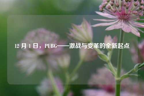 12 月 1 日，PUBG——激战与变革的全新起点