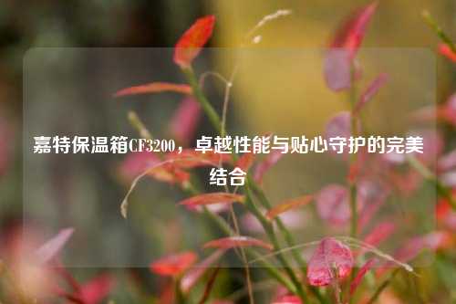 嘉特保温箱CF3200,卓越性能与贴心守护的完美结合