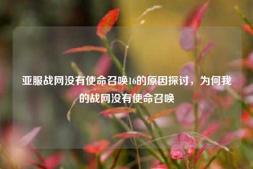 亚服战网没有使命召唤16的原因探讨，为何我的战网没有使命召唤