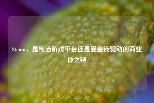 Steam,是纯洁游戏平台还是受金钱驱动的商业体之辩