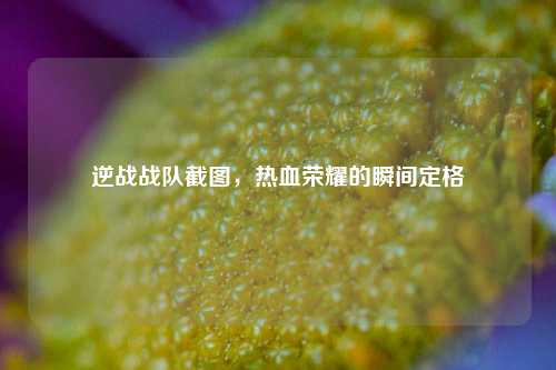 逆战战队截图，热血荣耀的瞬间定格