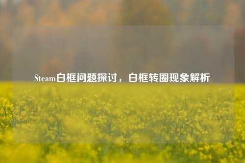 Steam白框问题探讨，白框转圈现象解析
