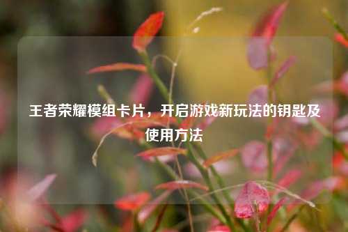 王者荣耀模组卡片,开启游戏新玩法的钥匙及使用方法