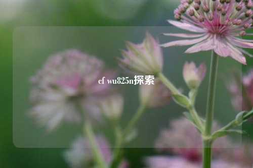 cf wu825n探索