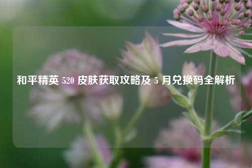 和平精英 520 皮肤获取攻略及 5 月兑换码全解析