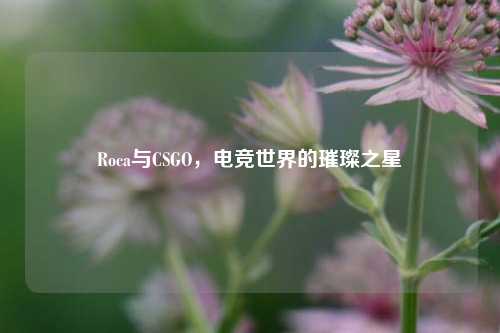 Roca与CSGO，电竞世界的璀璨之星