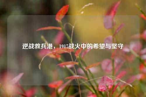 逆战救兵港,1917战火中的希望与坚守
