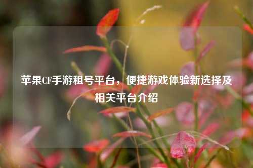 苹果CF手游租号平台，便捷游戏体验新选择及相关平台介绍