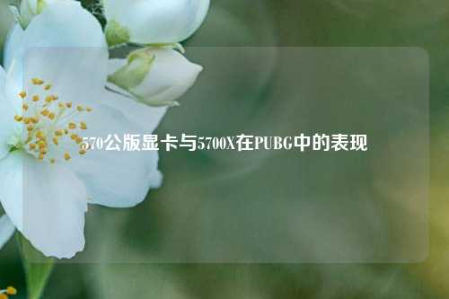 570公版显卡与5700X在PUBG中的表现