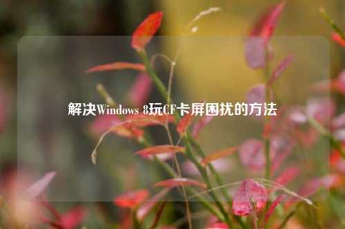 解决Windows 8玩CF卡屏困扰的方法