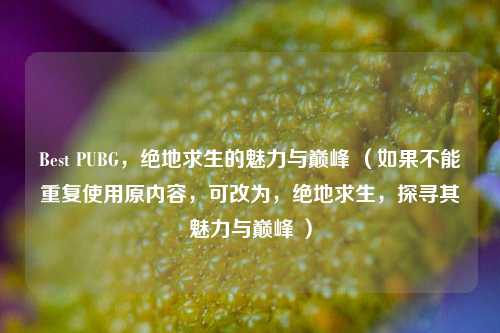 Best PUBG，绝地求生的魅力与巅峰 （如果不能重复使用原内容，可改为，绝地求生，探寻其魅力与巅峰 ）