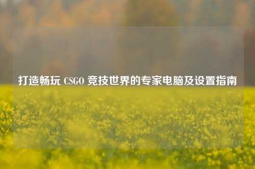 打造畅玩 CSGO 竞技世界的专家电脑及设置指南