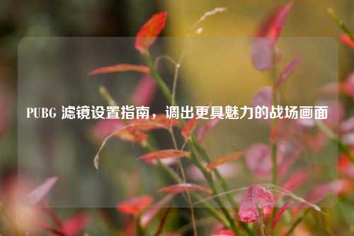 PUBG 滤镜设置指南，调出更具魅力的战场画面