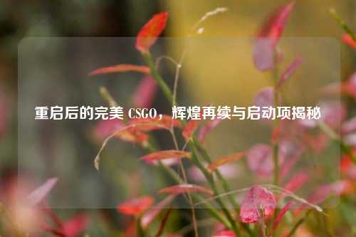 重启后的完美 CSGO,辉煌再续与启动项揭秘