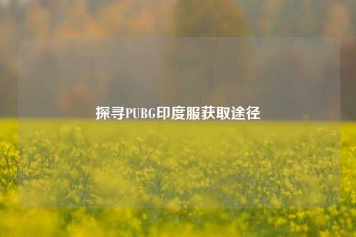 探寻PUBG印度服获取途径