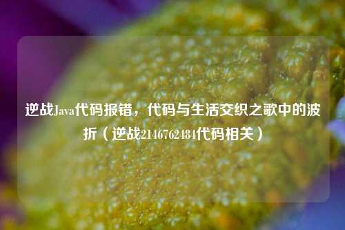 逆战Java代码报错，代码与生活交织之歌中的波折（逆战2146762484代码相关）