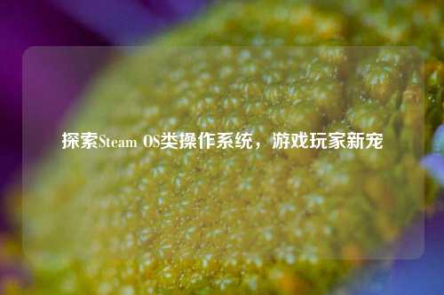 探索Steam OS类操作系统,游戏玩家新宠