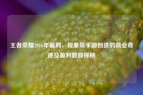 王者荣耀2016年盈利，现象级手游创造的商业奇迹及盈利数额探秘