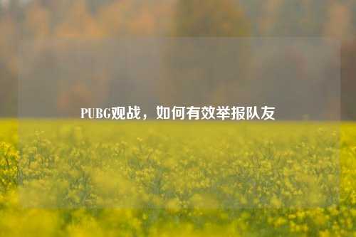 PUBG观战,如何有效举报队友
