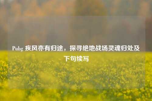 Pubg 疾风亦有归途，探寻绝地战场灵魂归处及下句续写