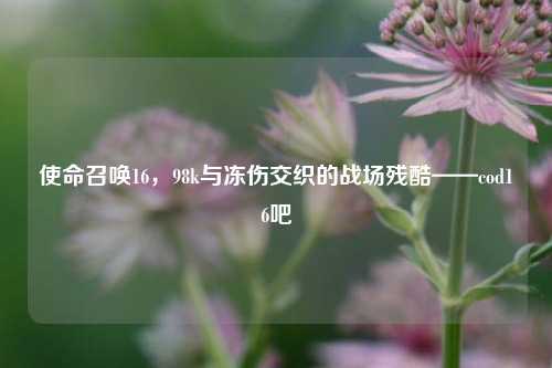 使命召唤16,98k与冻伤交织的战场残酷——cod16吧
