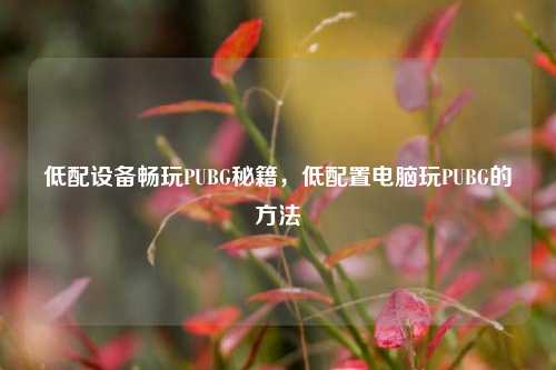 低配设备畅玩PUBG秘籍，低配置电脑玩PUBG的方法