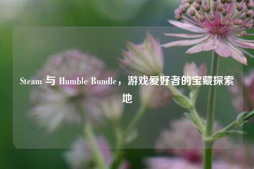 Steam 与 Humble Bundle，游戏爱好者的宝藏探索地