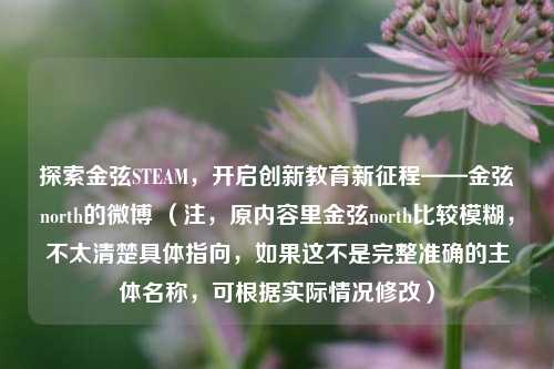 探索金弦STEAM，开启创新教育新征程——金弦north的微博 （注，原内容里金弦north比较模糊，不太清楚具体指向，如果这不是完整准确的主体名称，可根据实际情况修改）