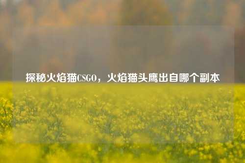 探秘火焰猫CSGO,火焰猫头鹰出自哪个副本