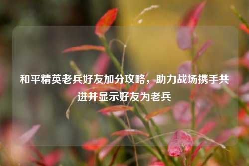 和平精英老兵好友加分攻略，助力战场携手共进并显示好友为老兵