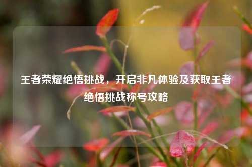 王者荣耀绝悟挑战,开启非凡体验及获取王者绝悟挑战称号攻略