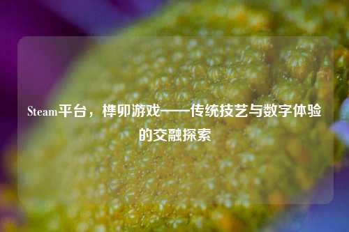 Steam平台,榫卯游戏——传统技艺与数字体验的交融探索
