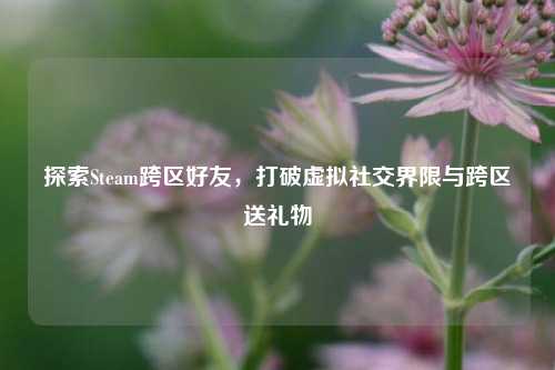 探索Steam跨区好友,打破虚拟社交界限与跨区送礼物