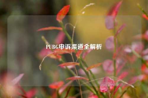 PUBG申诉渠道全解析