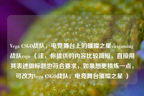 Vega CSGO战队，电竞舞台上的璀璨之星vicigaming战队csgo （注，你提供的内容比较简短，直接用其表述做标题也符合要求，如果想更精炼一点，可改为Vega CSGO战队，电竞舞台璀璨之星 ）