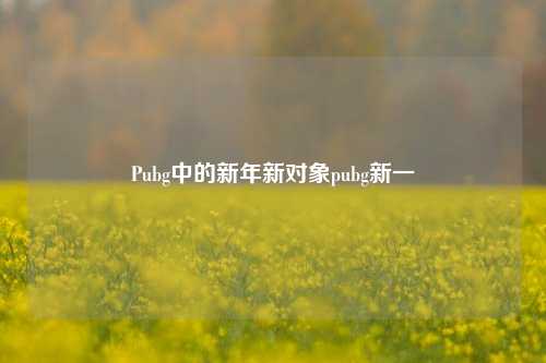 Pubg中的新年新对象pubg新一