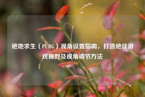 绝地求生（PUBG）视角设置指南，打造绝佳游戏视野及视角调节方法