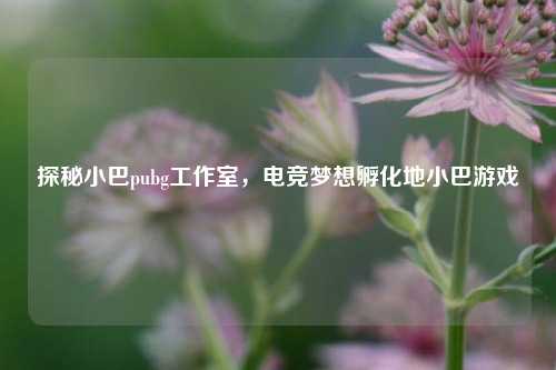 探秘小巴pubg工作室，电竞梦想孵化地小巴游戏