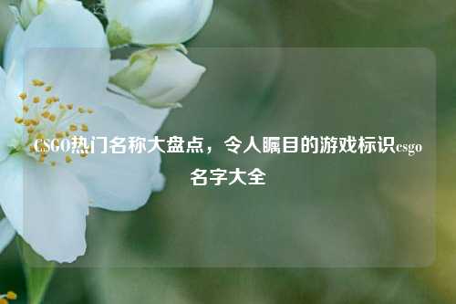 CSGO热门名称大盘点,令人瞩目的游戏标识csgo名字大全