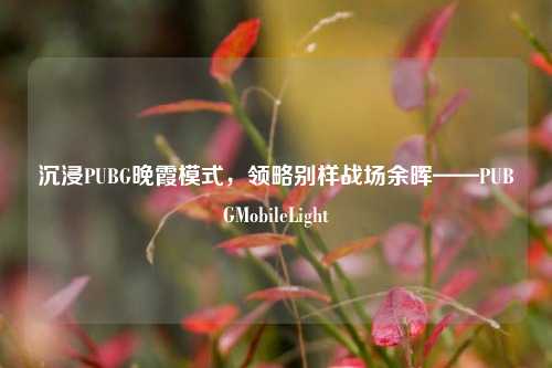 沉浸PUBG晚霞模式，领略别样战场余晖——PUBGMobileLight