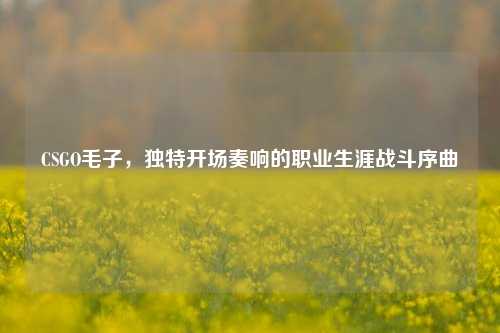 CSGO毛子，独特开场奏响的职业生涯战斗序曲
