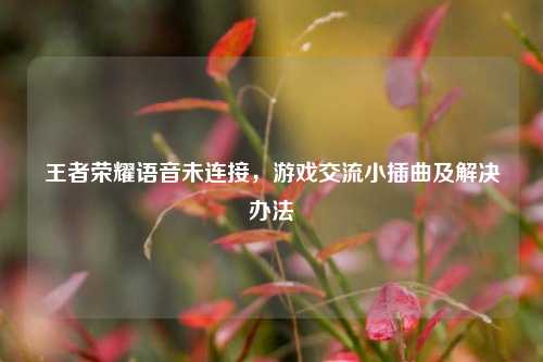 王者荣耀语音未连接，游戏交流小插曲及解决办法