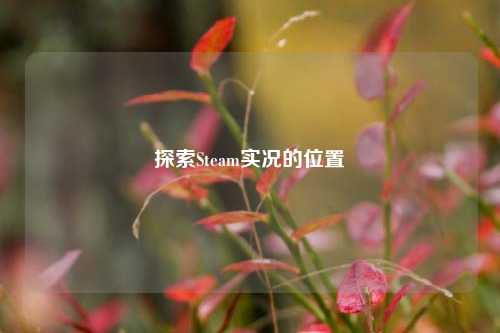 探索Steam实况的位置