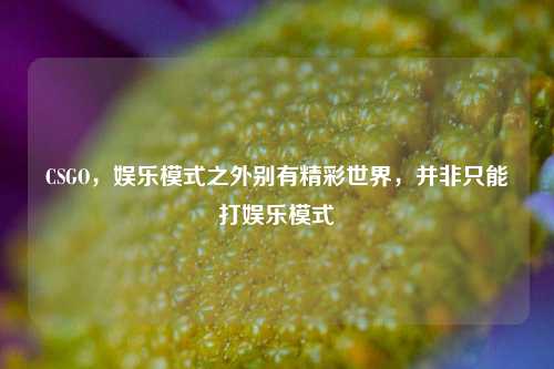 CSGO，娱乐模式之外别有精彩世界，并非只能打娱乐模式