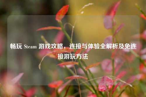 畅玩 Steam 游戏攻略，连接与体验全解析及免连接游玩方法