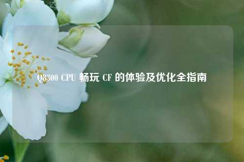 Q8300 CPU 畅玩 CF 的体验及优化全指南