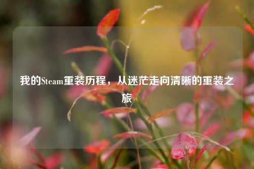 我的Steam重装历程，从迷茫走向清晰的重装之旅