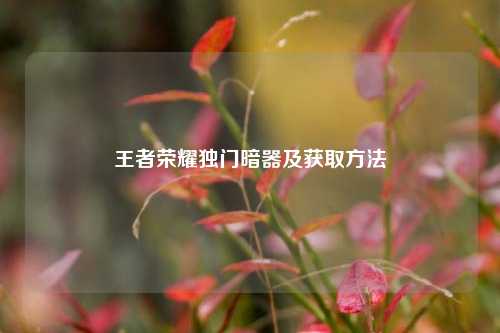 王者荣耀独门暗器及获取方法