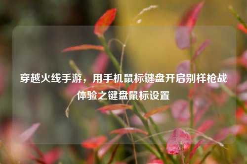穿越火线手游，用手机鼠标键盘开启别样枪战体验之键盘鼠标设置